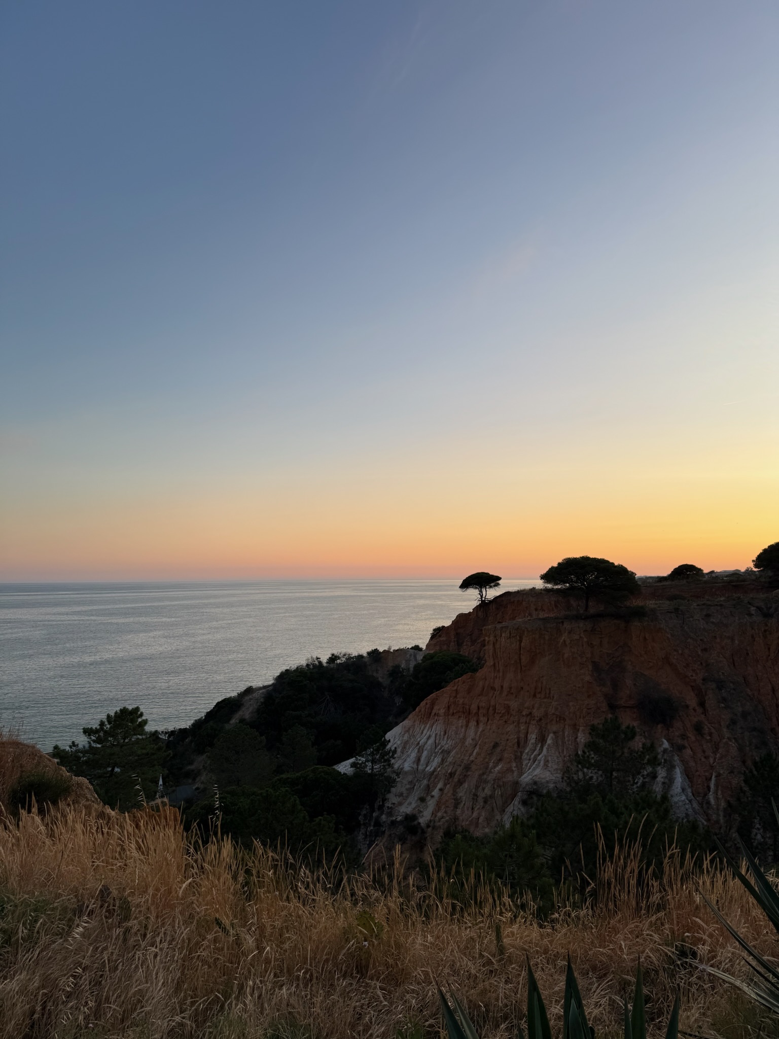 Sunset over coastal cliffs with golden grass and ocean horizon